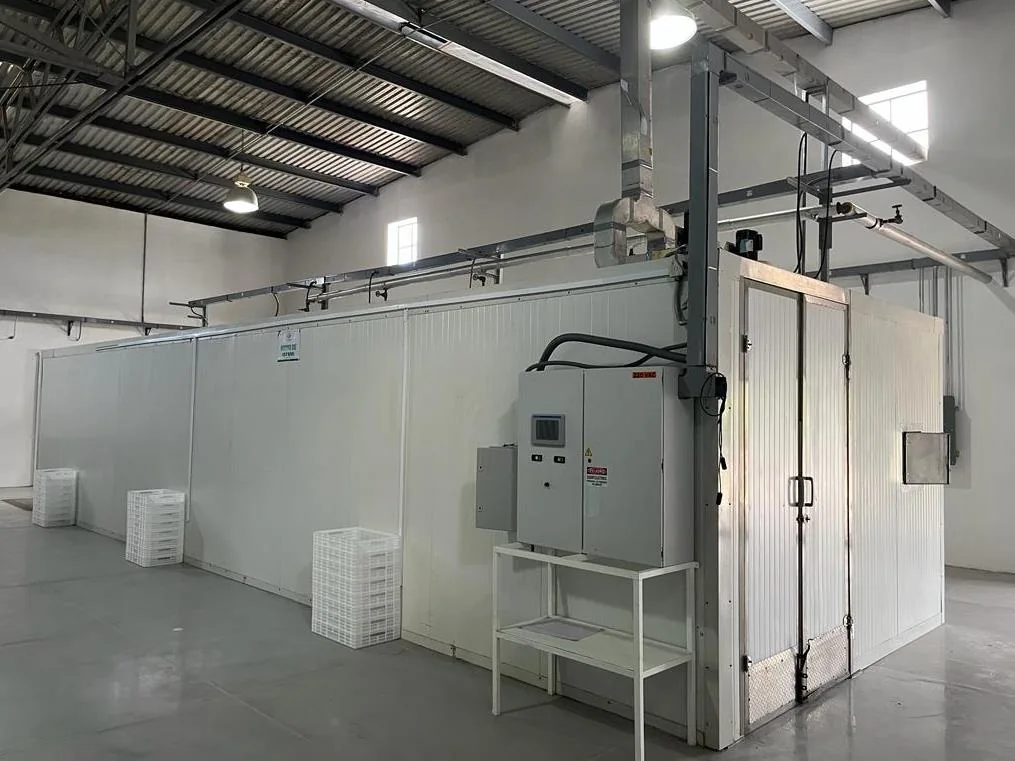 Dehydration oven at Campo Costa