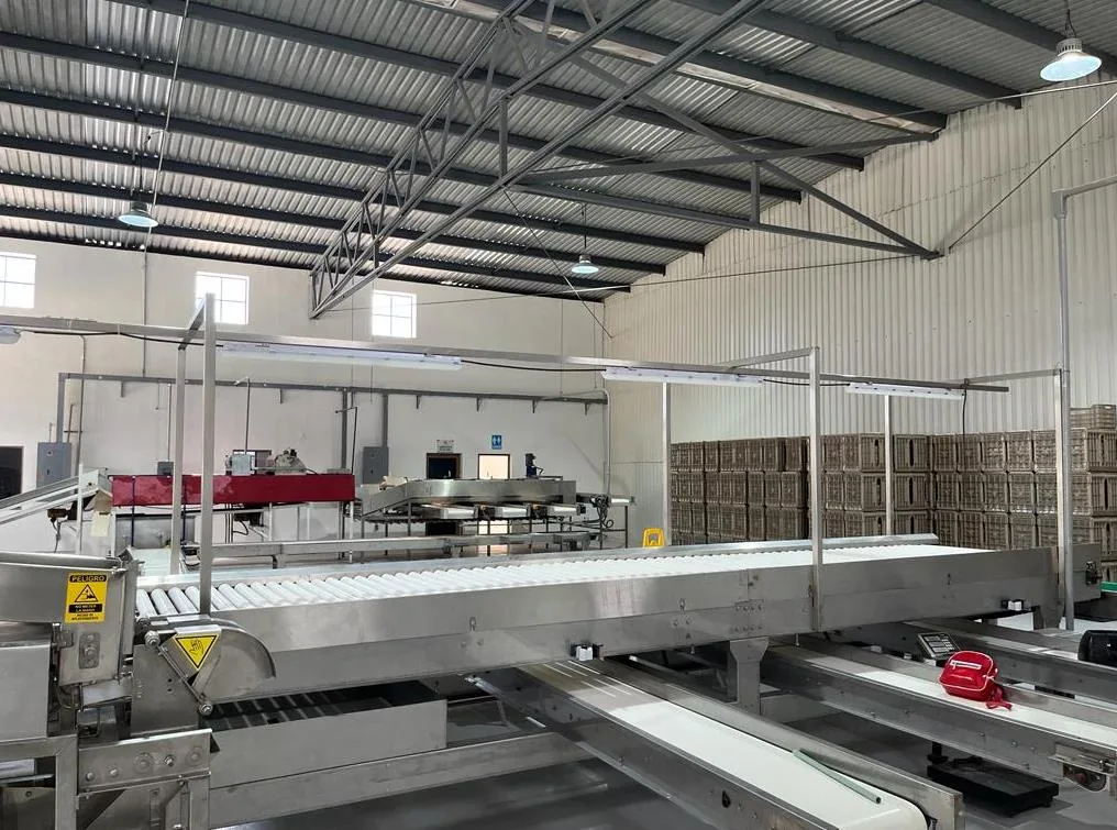 Campo Costa fruit processing line